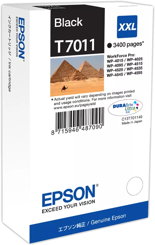 EPSON T701 - Pyarmides