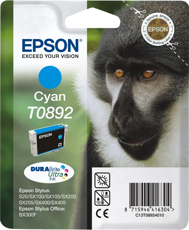 EPSON T089