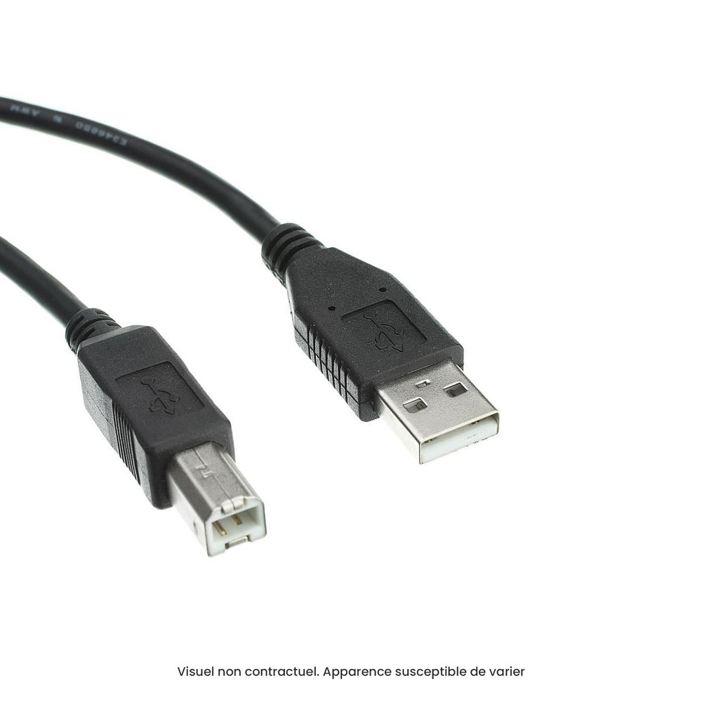 Câble USB A vers USB B 1,8m (pour imprimantes)