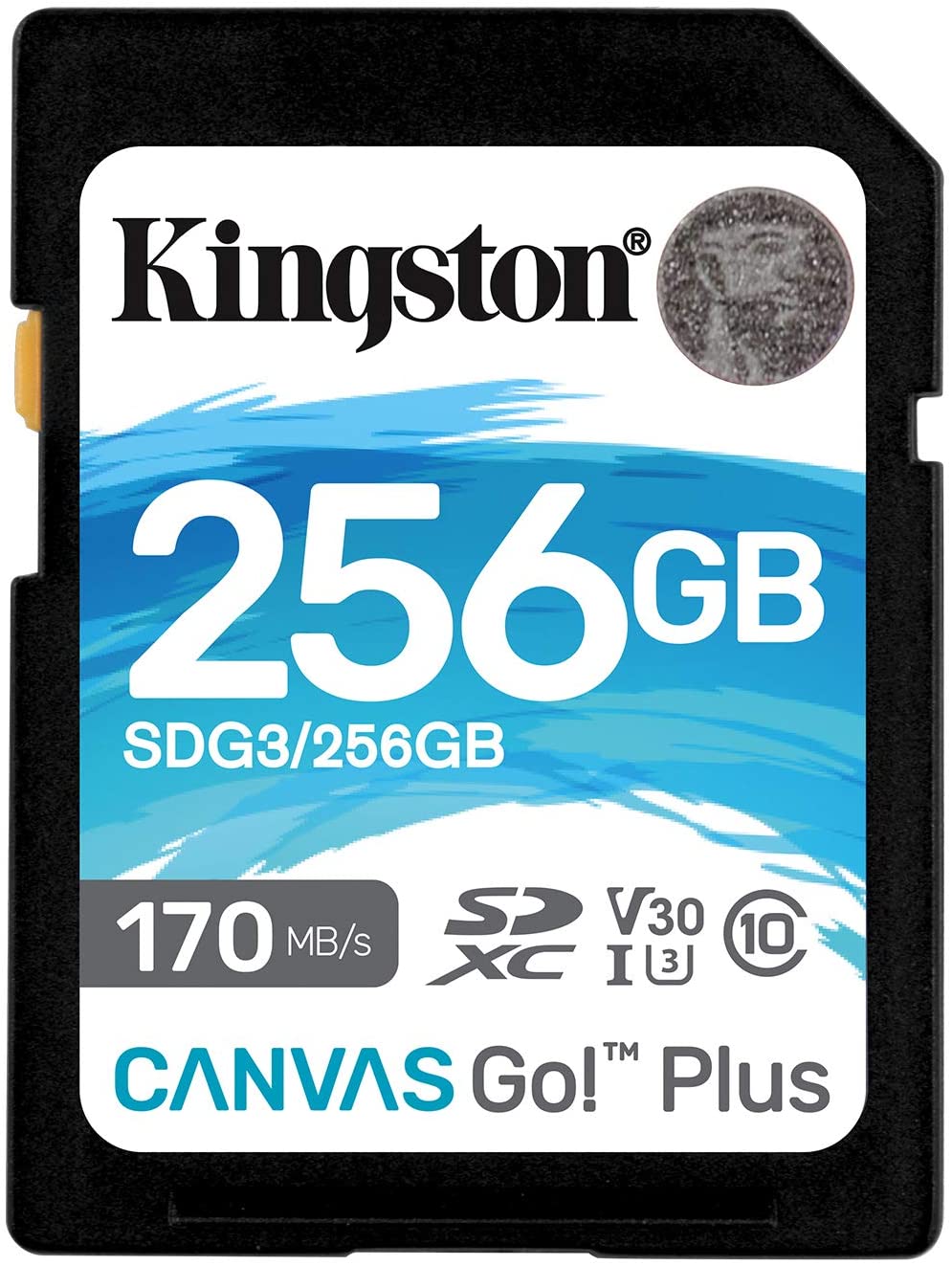 Carte SDXC Kingston 256 Go UHS-I U3 V30 Classe 10 170 Mo/s Canvas Go Plus