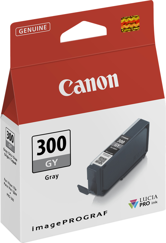 Canon Cartouche encre PFI-300gy (4200C001) gris