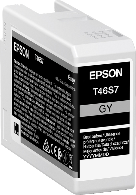 Epson cartouche encre T46S7 (C13T46S700) gris