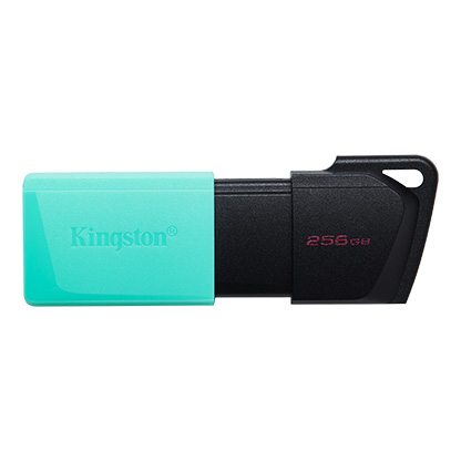Clé USB Kingston DataTraveler Exodia M 256 Go