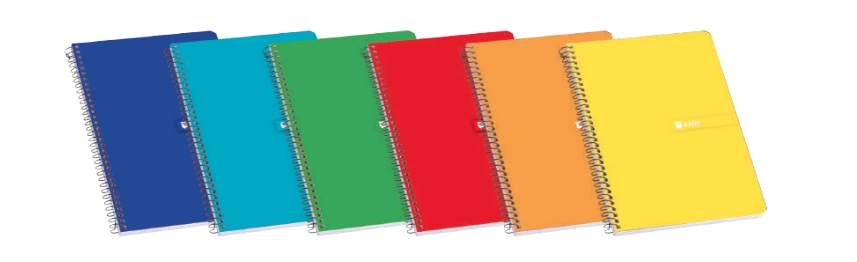 Enri Plus Pack de 10 Carnets Spirale 4x4mm Format Folio Carré - 80 Feuilles 60gr avec Marge - Couverture Souple - Couleurs Assorties