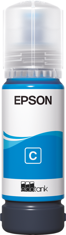 EPSON 107
