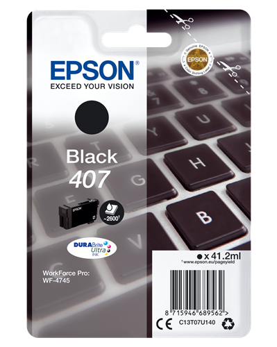 EPSON 407