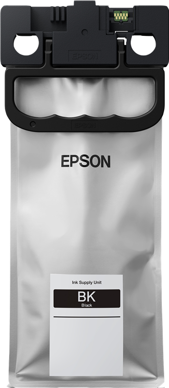 EPSON T01C