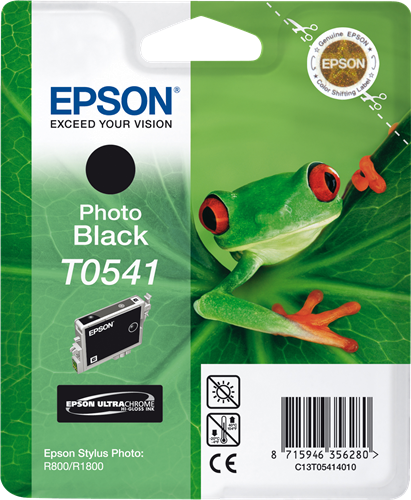 Epson cartouche encre T0541 noir photo