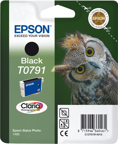 EPSON T079
