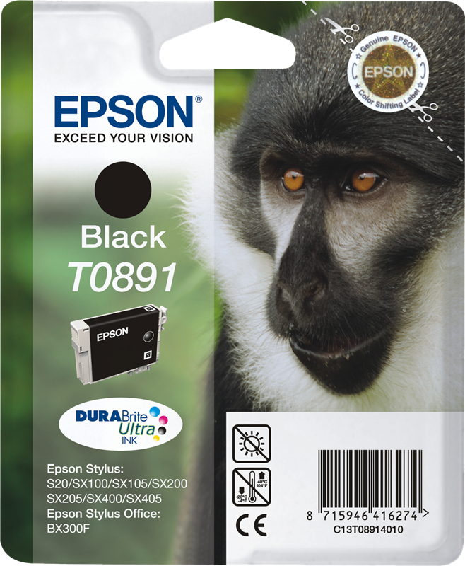 Epson cartouche encre T0891 noir