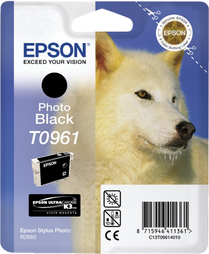EPSON T096