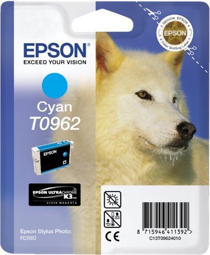 EPSON T096