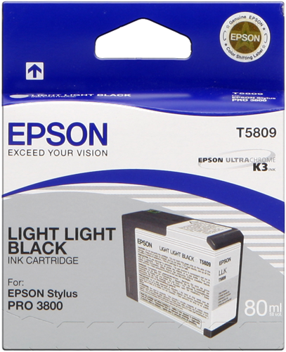 Epson cartouche encre T5809 gris clair