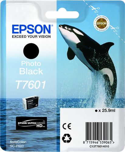 EPSON T760