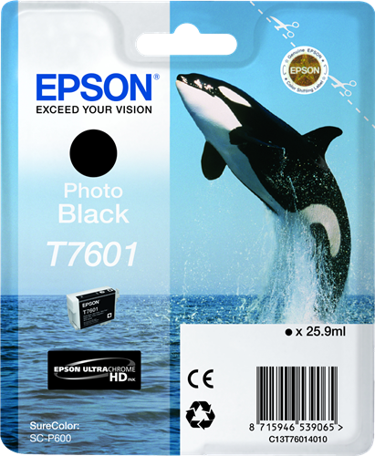 Epson cartouche encre T7601 Noir Photo