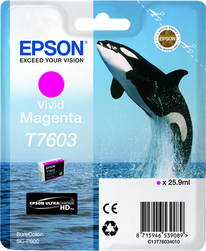 Epson cartouche encre T7603 Magenta