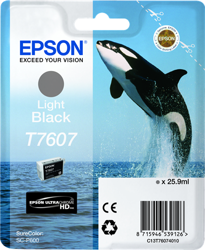 Epson cartouche encre T7607 Noir clair