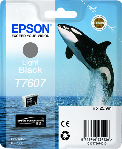 Epson cartouche encre T7607 Noir clair