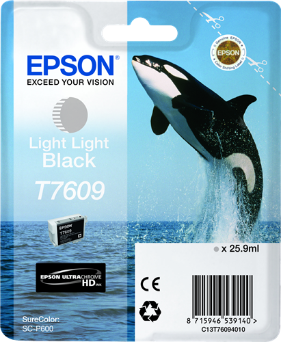 Epson cartouche encre T7609 Noir tres clair