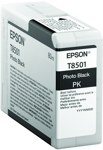 Epson cartouche encre T85 noir photo