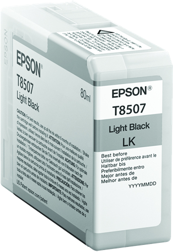 Epson cartouche encre T85 noir clair
