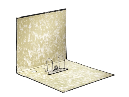 Lot 20 Classeurs Esselte Folio, 75mm, Noir