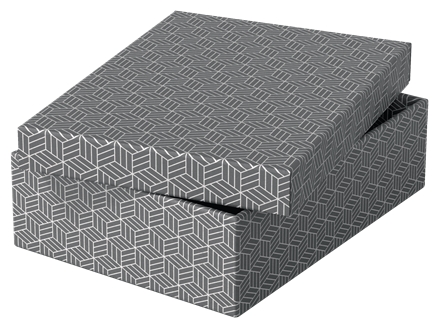 Esselte Pack de 3 Boîtes de Rangement Moyennes avec Couvercle 265x100x360mm - Carton 100% Recyclé et Recyclable - Design Gris avec Dessin