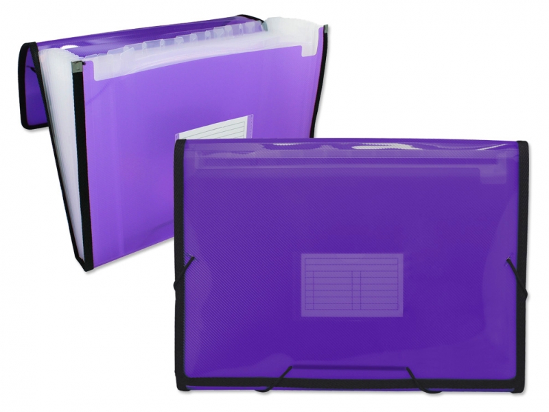 Ingraf Cadre Dossier Soufflet 13 Pochettes - Polypropylène Translucide - Elastiques et Rabats - Format A4