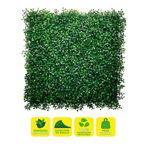 Jardin vertical Sungarden Série Floraria 50x50cm - Couleur verte