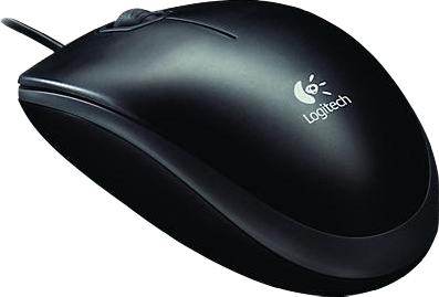 Souris USB Logitech B100