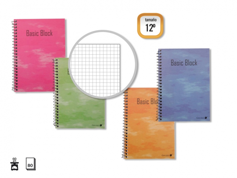 LOT de 10 Carnets Doré Couverture Plastifiée Normale 80 Feuilles - Marge Surlignée - Différents Types de Lignés - Couleurs Assorties
