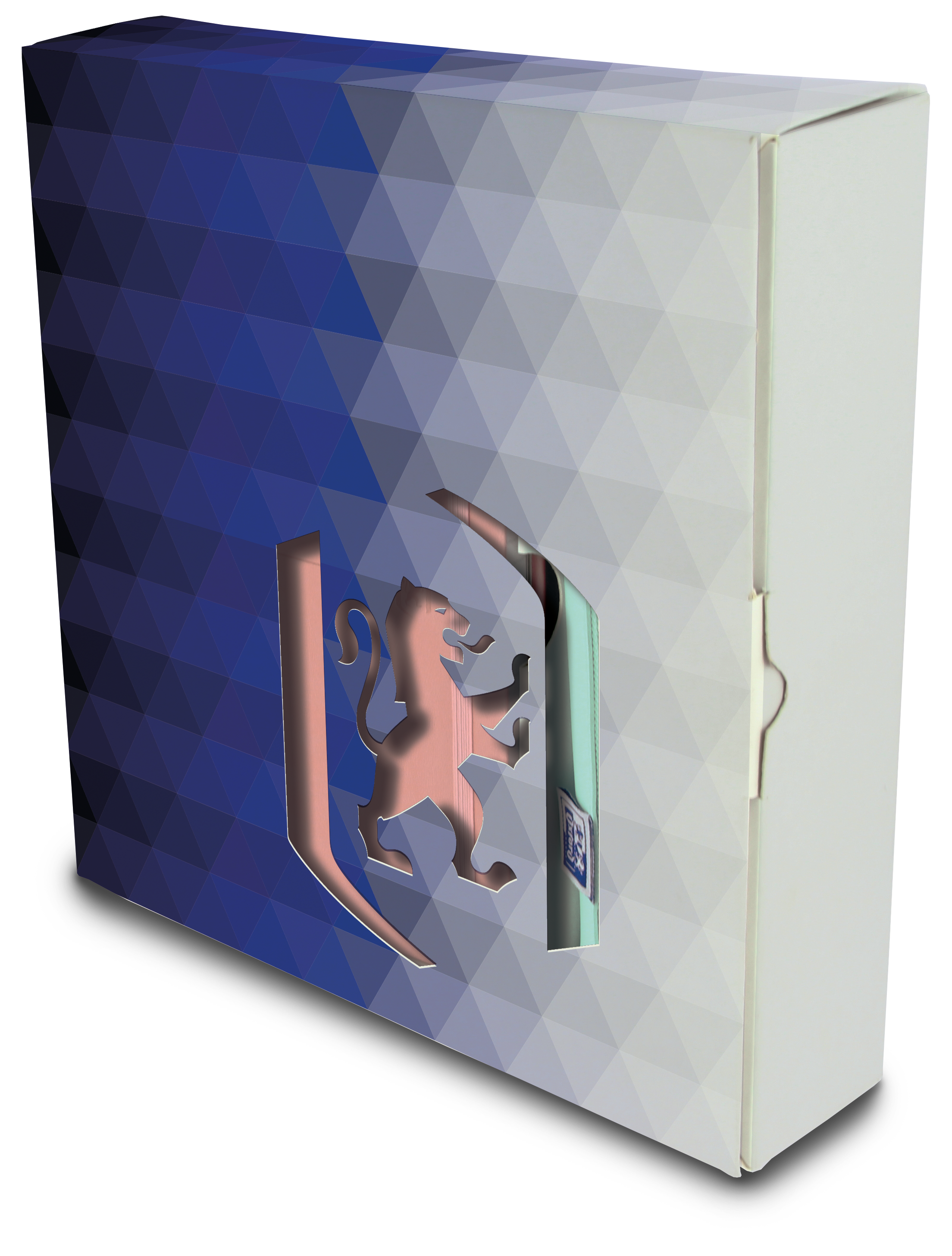 LOT de 3 Oxford Executive Pastel Lot Gift Box - Carnet Signature - Étui Kangoo - Porte-stylo - Idéal pour offrir