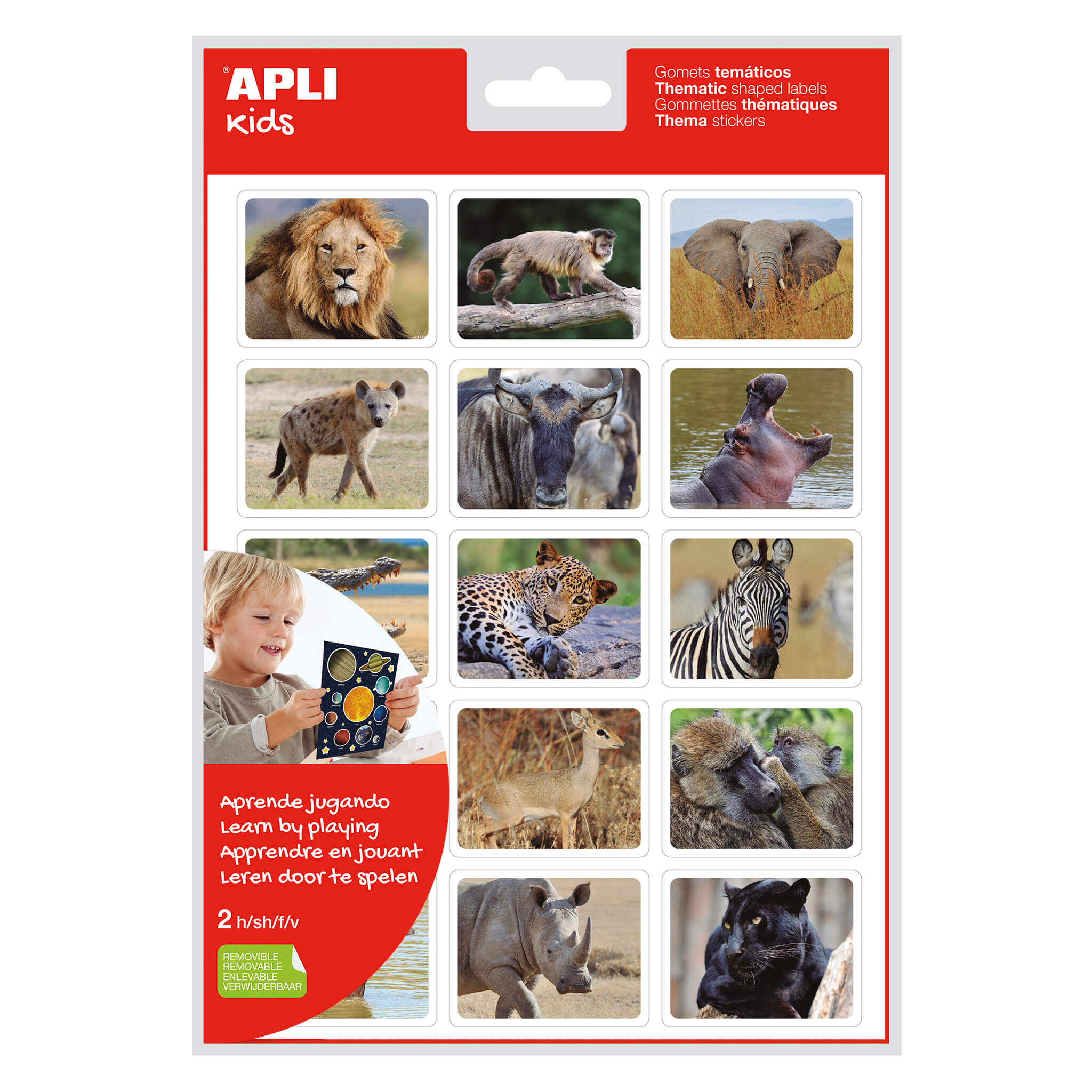 LOT de 5 Apli Autocollants Réalistes Animaux dans leur Habitat - 30 Autocollants Rectangulaires à Thème par Sachet - Images Réalistes d'Animaux Sauvages - Adhésif Amovible