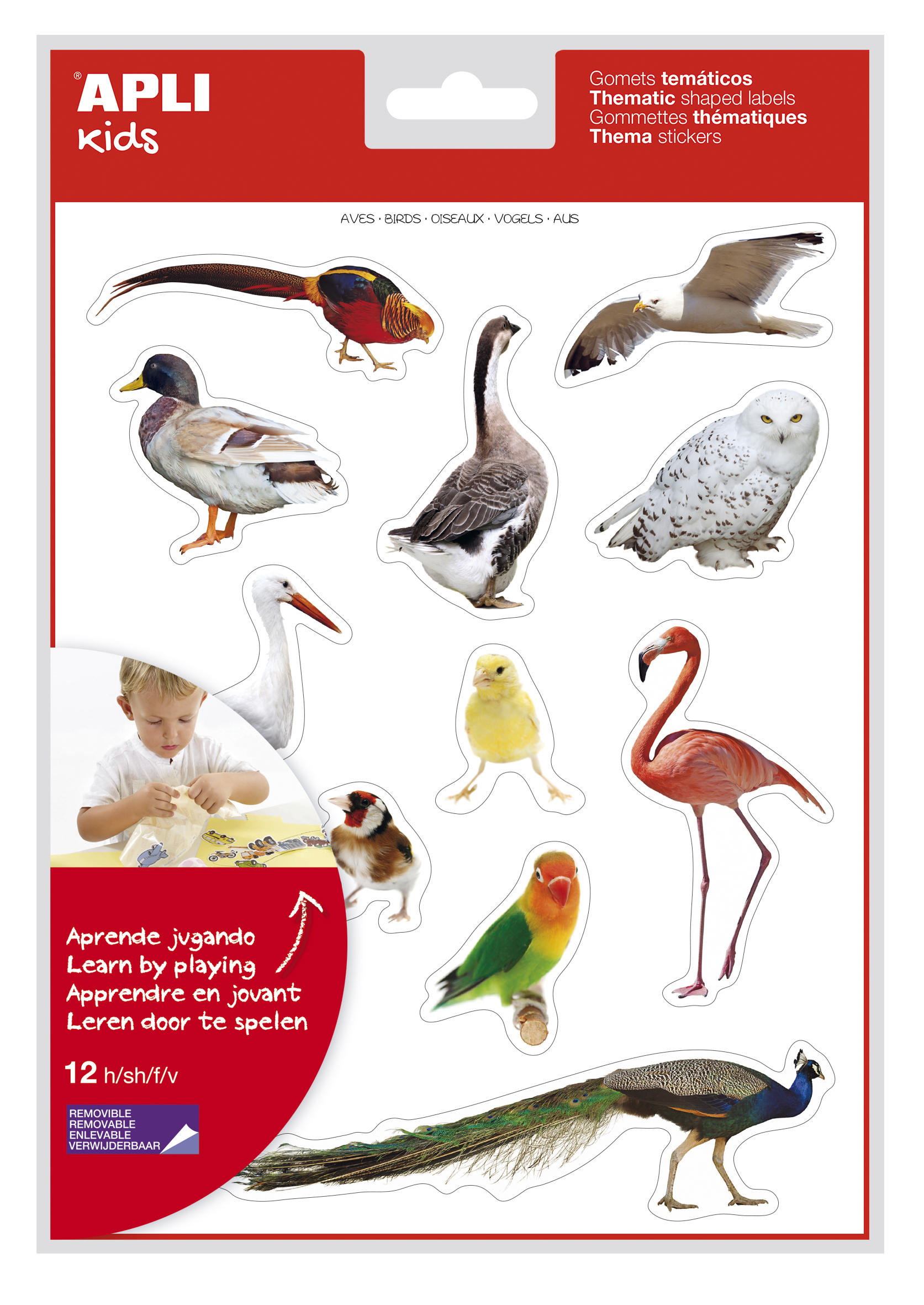 LOT de 5 Apli Autocollants réalistes sur le thème des oiseaux - 144 autocollants sur 12 feuilles - Images réalistes pour correspondre aux oiseaux - Développe la motricité - Adhésif amovible - Adhésif à base d'eau - Coloré