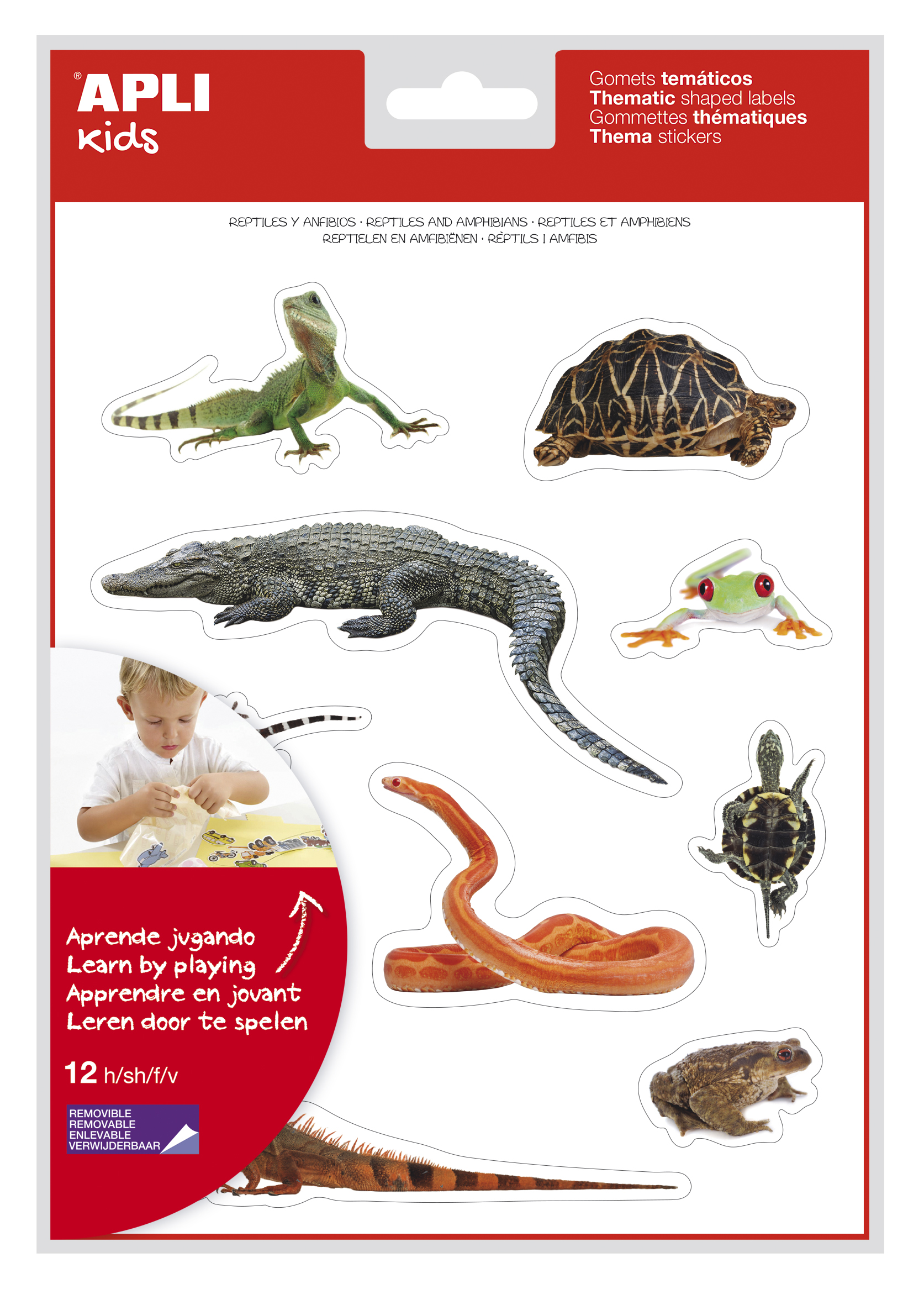 LOT de 5 Apli Gomets à thème réalistes de reptiles et d'amphibiens - 120 Gomets - Images réalistes pour correspondre aux animaux - Adhésif amovible - Idéal pour les écoles - Recyclable - Coloré