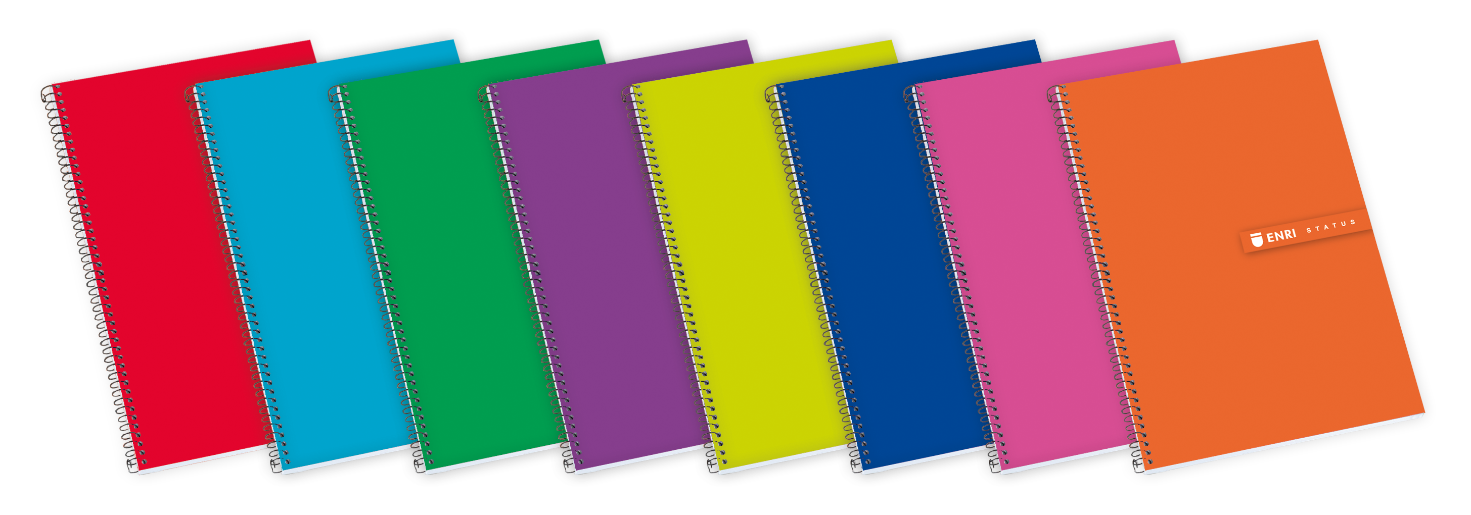 LOT de 5 Cahier à Spirale Enri Status Fº Couverture Extra Rigide 4x4 - Couverture Rigide Résistante - Carnet avec Marge - 100 Feuilles de Haute Qualité - Couleurs Assorties