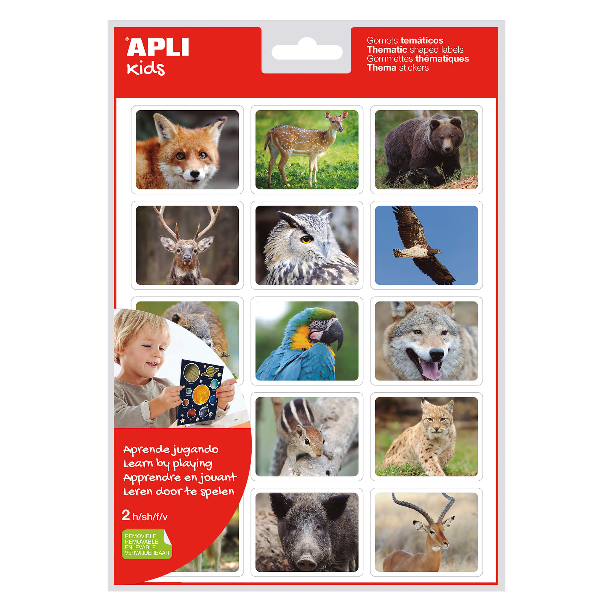 LOT de 5 Sachet Apli de Stickers Réalistes Animaux dans leur Habitat - 30 Stickers Thématiques Rectangulaires - Adhésif Amovible - Photographies Full Color - Normes EN-71 et FSC - Sans Solvant - 100% Recyclable - Forêt