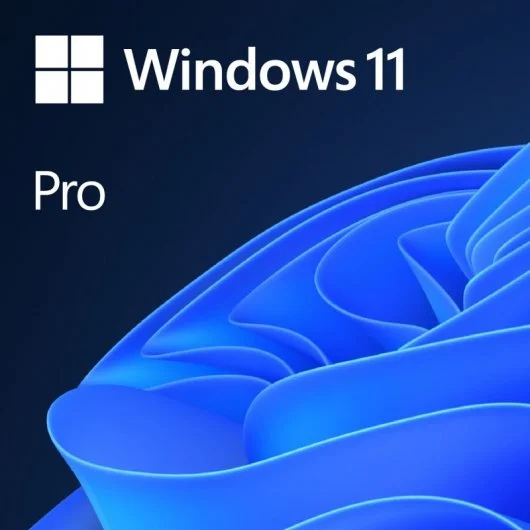 Microsoft Windows 11 Professionnel OEM 64 bits