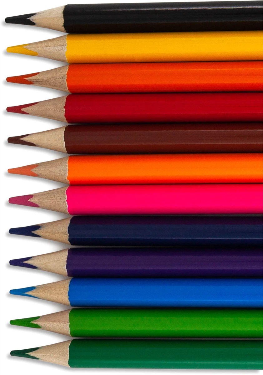 Crayons de Couleurs - Paquet de 12 Pièces WBD Dalil MPA00305