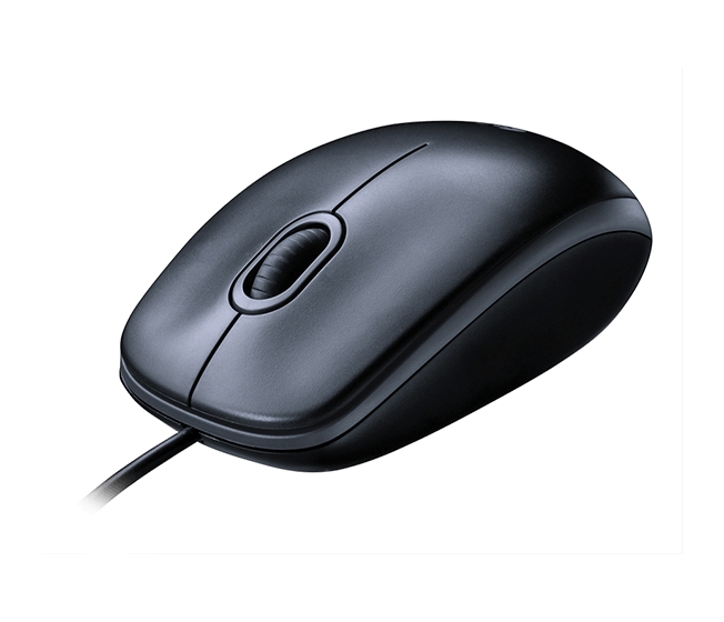 Souris USB Logitech M100 