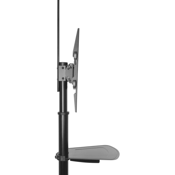 Support de sol à roulettes Ewent Aisens EW1440 - Plateau - 37-70 - Poids maximal supporté 50 kg - Noir